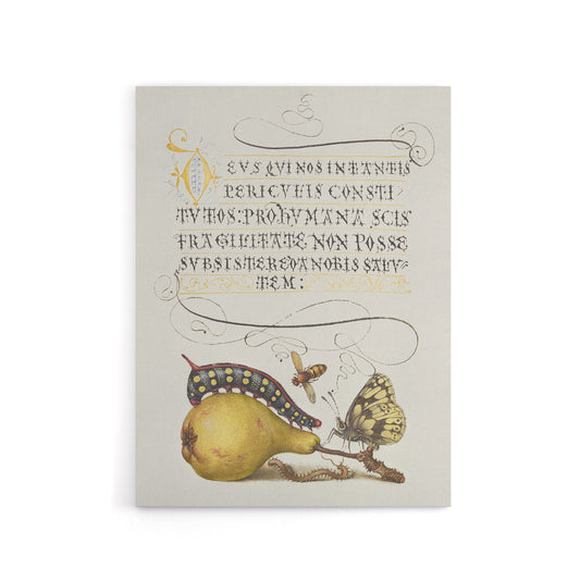 Caterpillar Pear and Butterfly Calligraphy Canvas Wall Art Print