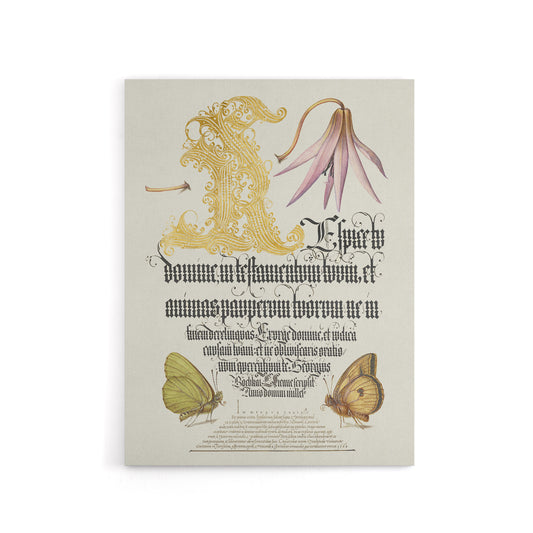 Dog Tooth Violet and Butterflies Calligraphy Canvas Wall Art Print