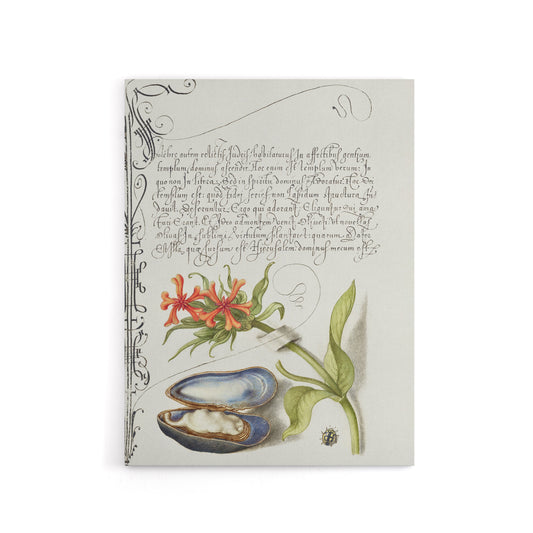 Flower Mussel and Ladybird Calligraphy Canvas Wall Art Print