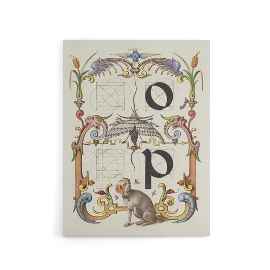Pictorial Letter Guide O And P Calligraphy Canvas Wall Art Print