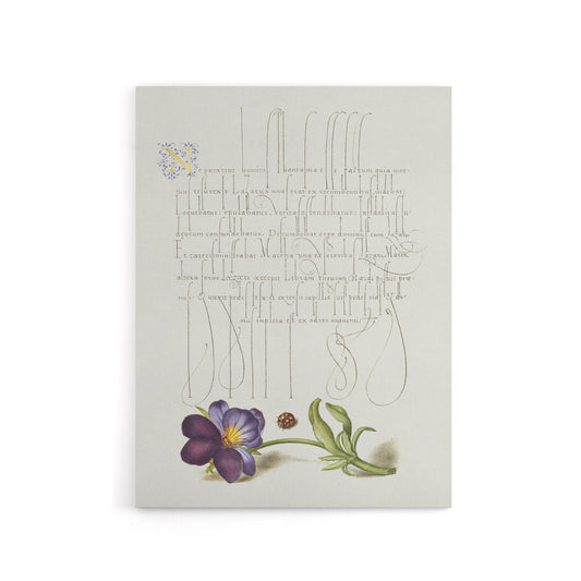 Ladybird and Wild Pansy Calligraphy Canvas Wall Art Print