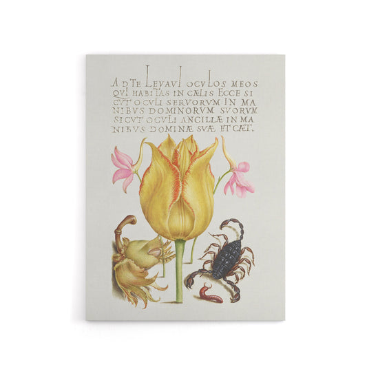 Larkspurs Tulip and Scorpion Calligraphy Canvas Wall Art Print