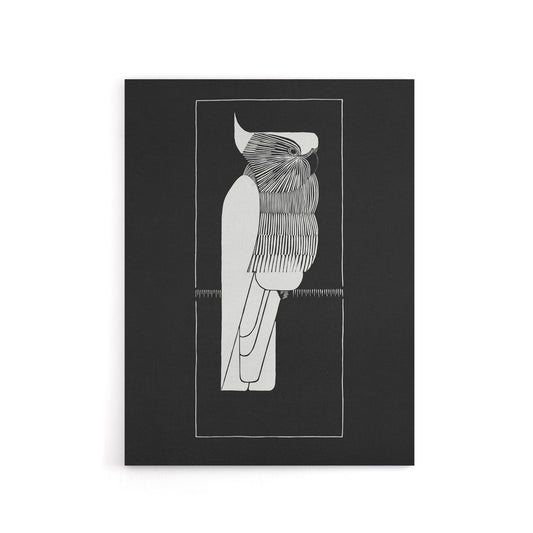 Sulphur Crested Cockatoo Parrot De Mesquita Canvas Wall Art Print