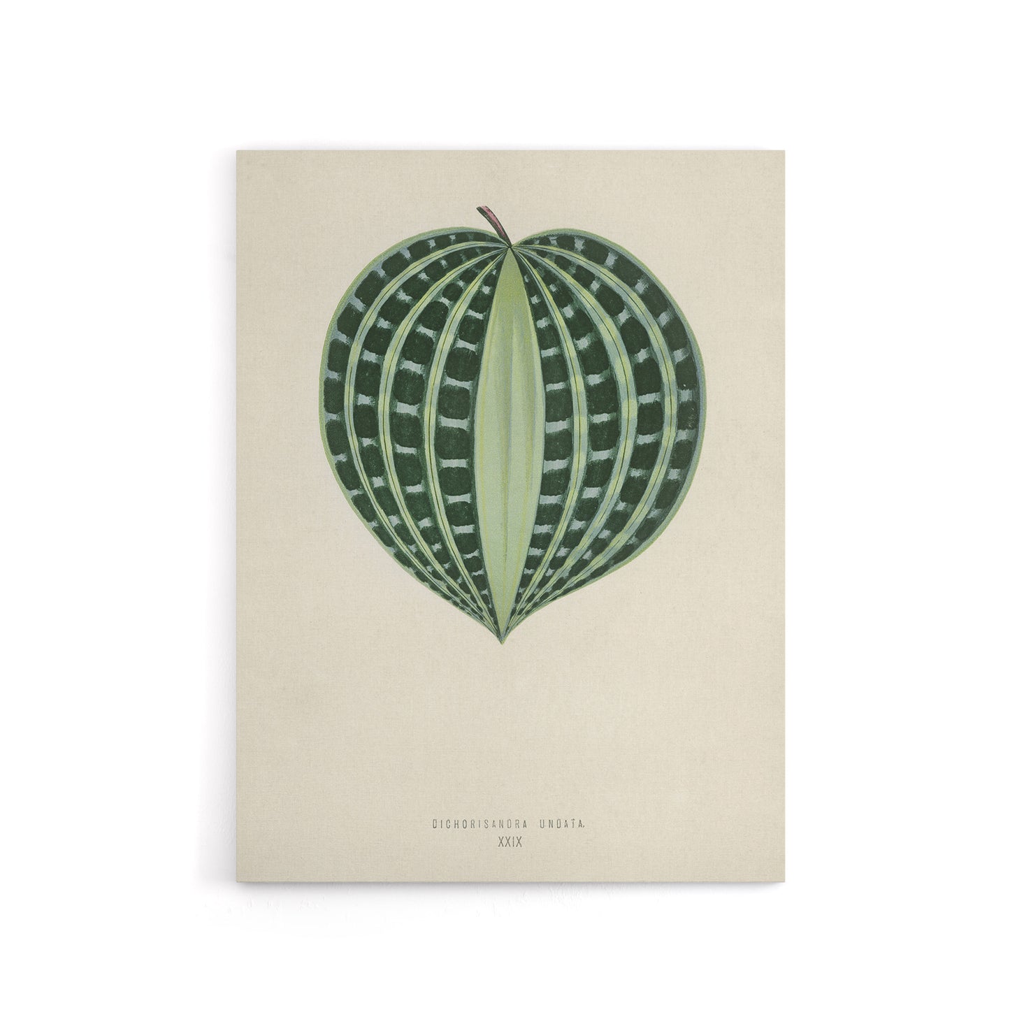 Vintage Botanical Seersucker Plant Leaf Fawcett Canvas Wall Art