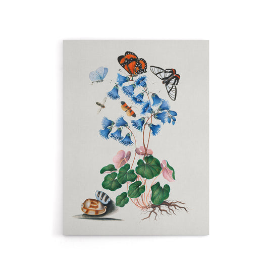 Soldanella Flower and Butterflies Bolton Canvas Wall Art