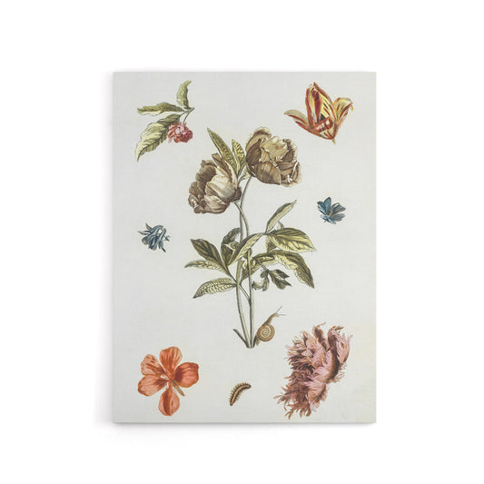 Flowers Snail and a Caterpillar Johan Teyler Canvas Wall Art