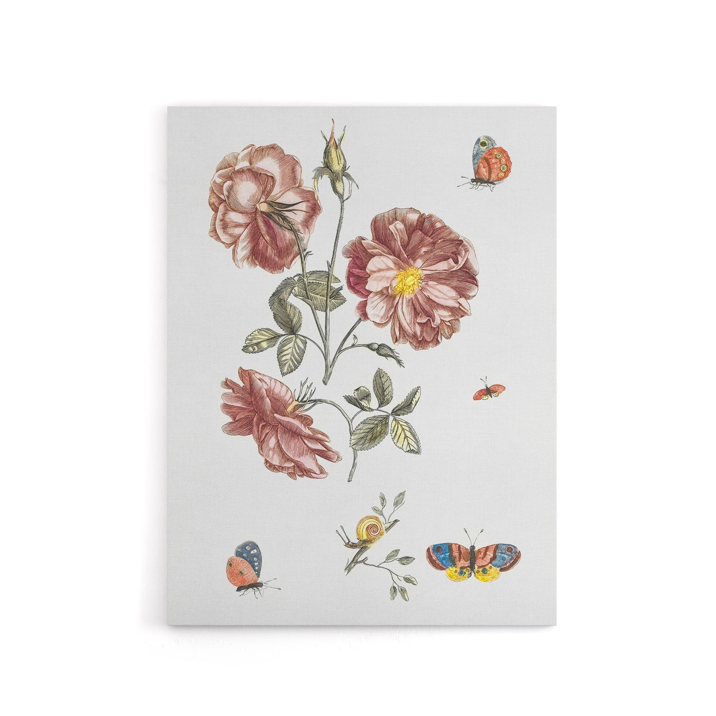 Rose Flowers Butterflies and a Snail Teyler Canvas Wall Art