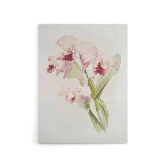 Frederick Sander Cattleya labiata Orchid Flowers Canvas Wall Art Print